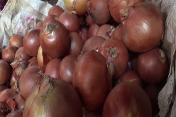 Запрещенный сайт кракен