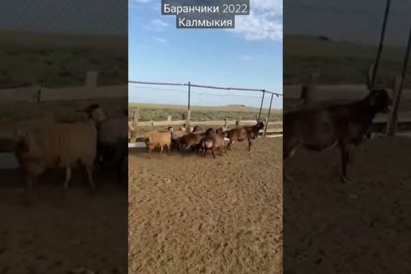 Кракен не работает сегодня