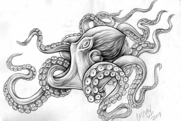 Kraken ссылка krakentor site
