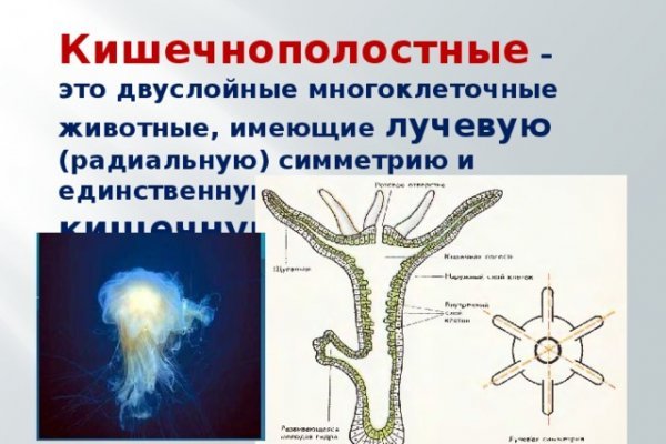 Кракен даркнет krawebes
