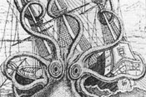 Kraken20 at