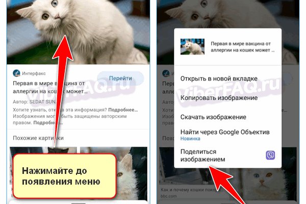 Ссылки для tor