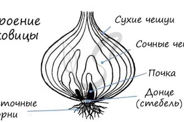 Аналог гидры