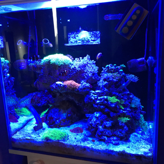 Kra30.cc